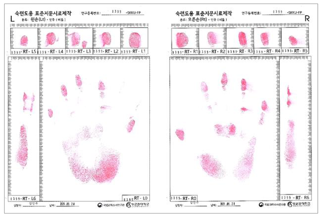 인주를 이용하여 채취한 현재지문(비틂)