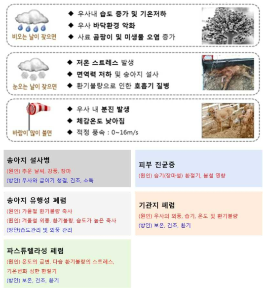 기상관련 질병노출 사례(자료 : 기후조건과 한우 생산성, 신종서)