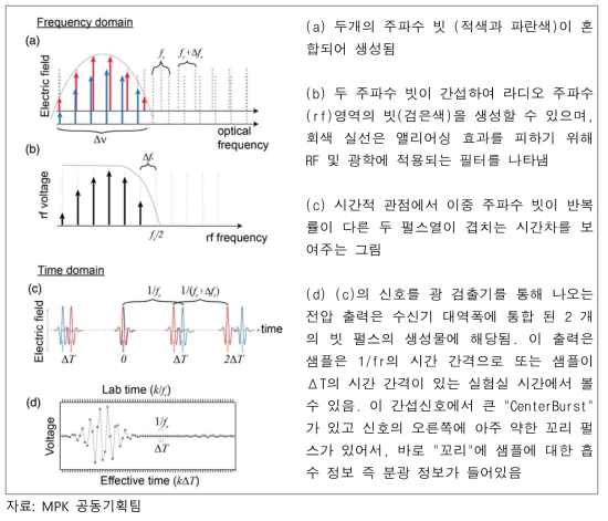 이중 주파수 빗과 샘플의 상호 작용에서 나온 신호가 광검출기에 검출되는 과정