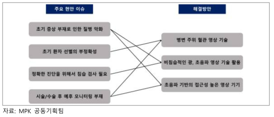 당뇨병 광음향 영상 시스템 개발 및 안전성 평가 이슈 및 해결방안