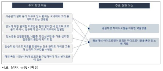 광기반 당뇨 혈당조절 약물전달 시스템 분야 이슈 및 해결방안