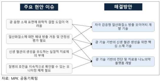 당뇨병 진단 소재 및 신생혈관 생성 광음향 치료 시스템 기술 분야 이슈 및 해결방안