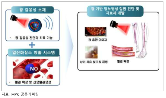 광 감응 소재 활용 혈관치료 개념