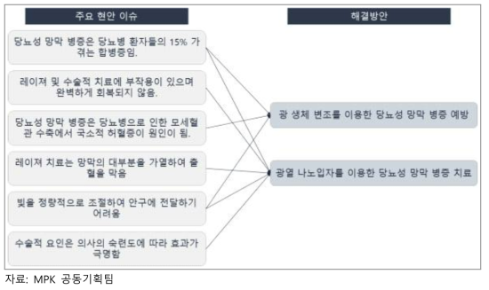 당뇨 안질환 치료 나노 소재 분야 이슈 및 해결방안