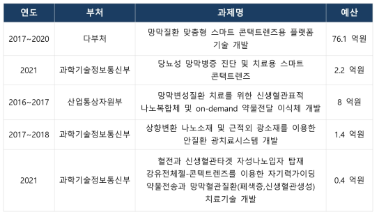 당뇨 안질환 치료 나노소재 관련 유사 연구개발 과제