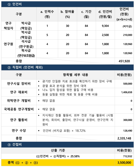 당뇨 안질환 치료 나노 소재 예산산출 내용