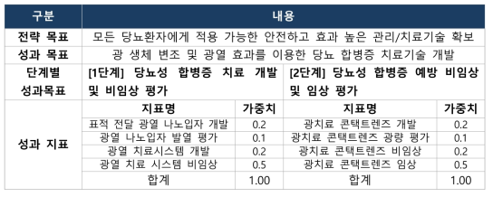 당뇨 안질환 치료 나노 소재 개발 성과목표 및 지표