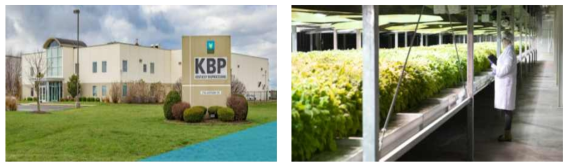 미국 KBP사 바이오의약품 생산 식물공장