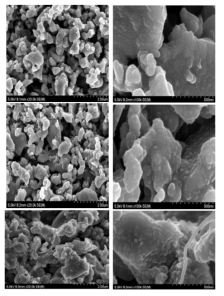 리튬 소스양(위에서부터 0.1, 0.125, 0.25 M Li2CO3)에 따라 제조된 음극소재의 SEM 이미지들