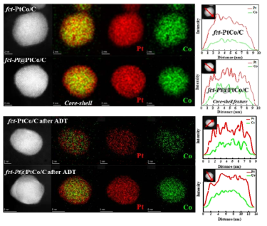fct-PtCo/C 및 fct-Pt@PtCo/C 촉매의 ADT 전/후의 EDS 분석 결과
