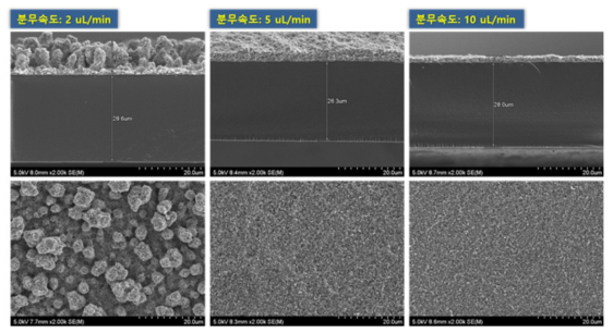 분무속도에 따른 전극 표면 및 단면 SEM 분석 결과