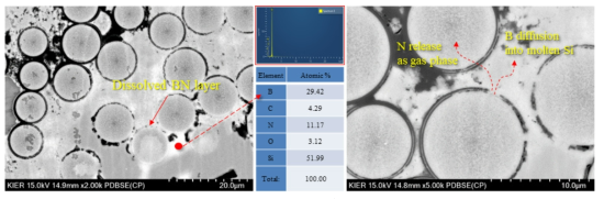 BN 코팅층 열화 현상 분석을 위한 SEM 및 EDS 결과