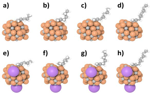 (a-d) K-free 및 (e-h) K 도핑된 Fe5C2@C/NPC에서 (a, e) 1-pentene, (b, f) 1-hexene, (c, g) 1-heptene, (d, h) 1-octene의 최적화된 흡착 구조