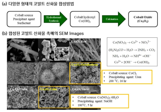 서로 다른 형태를 갖는 코발트 산화물 나노촉매의 합성방법 및 SEM 이미지