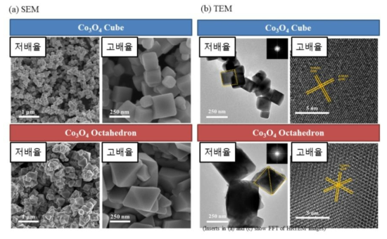 합성된 Cube와 Octahedron 코발트 산화물 촉매의 SEM과 TEM 이미지