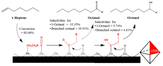 Octahedron Co3O4 촉매의 Hydroformlyation 반응 메카니즘