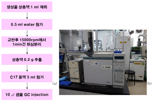 고체염기 촉매의 반응 생성물 분석용 샘플 전처리 과정(a)과 사용된 GC 사진(b)