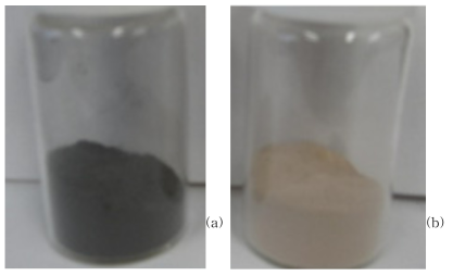 담지된 Na-aluminate sol 촉매: (a) NaAlO2/AC 촉매, (b) NaAlO2/Bentonite 촉매