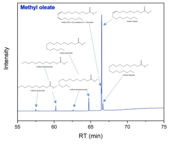 반응물 내 methyl oleate 및 기타 화합물 분석 (GC/MS)