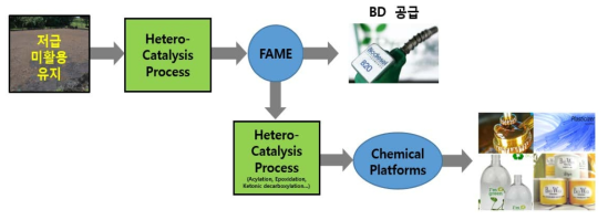 원료 다변화형 바이오디젤 및 플랫폼케미칼 생산 촉매 및 공정기술 개념도