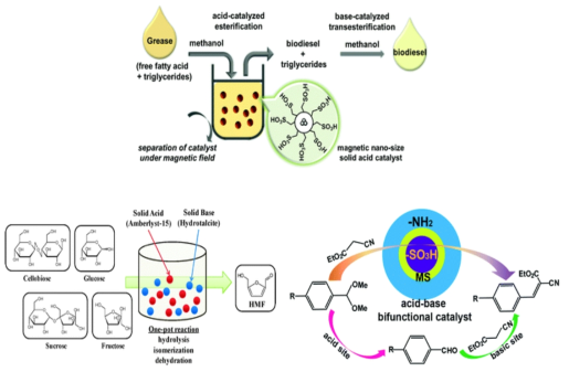 원료 다변화형 바이오디젤 전환 단일단계 촉매시스템 개발 전략 개념도