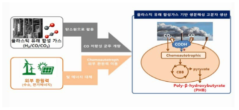 플라스틱 유래 합성가스의 생물학적 업사이클링 기술개발 개요