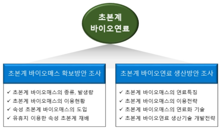 국내 초본계 바이오매스 확보 및 바이오연료 생산 방안