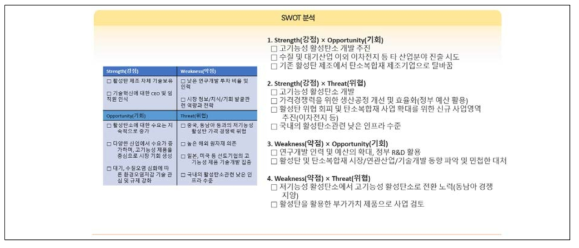 기업 역량진단 사례(계속)