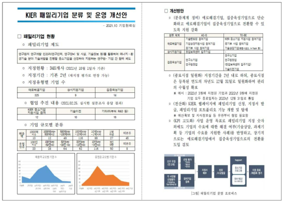 패밀리기업 분류 및 운영 개선안