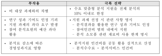 수요맞춤형 분석지원 부작용 극복 전략