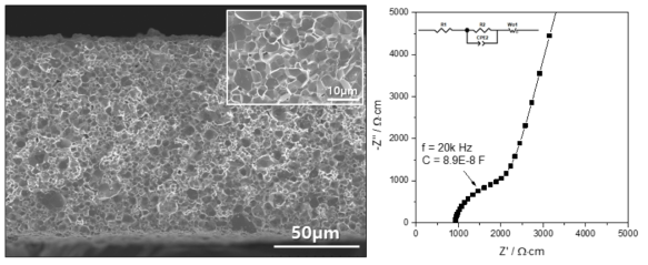 제조된 LLZO 후막 단면 미세구조 SEM 사진 및 impedance 분석결과