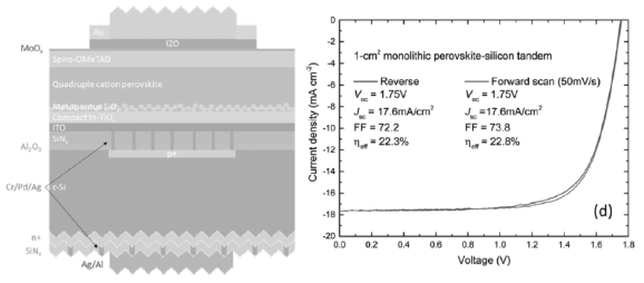 (좌) 호주 국립대 연구팀의 2단자 페로브스카이트/실리콘 동종접합 태양전지 단면 구조도, (우) forward/reverse 방향으로 측정한 최고효율 셀의 광전류밀도-전압 곡선