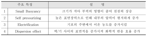 초미세 기포의 주요 특징