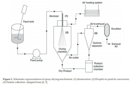일반적 분무건조 공정의 구성