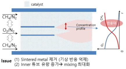 Diffusion type 반응기 개략도