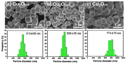 Cu2O 촉매의 SEM 이미지와 입자크기 분포: (a) Cu2Ocub, (b) Cu2Ot-oh, (c) Cu2Ooh