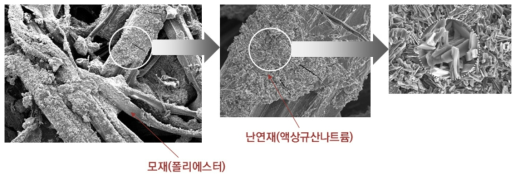 난연재가 함침된 심재의 주사형 전자현미경(SEM) 사진