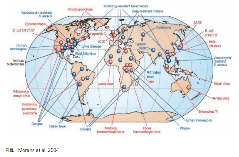 감염성 질병의 글로벌 사례 분포