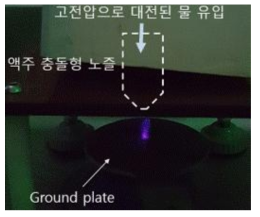 수막 상에 형성된 플라즈마