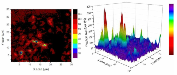 (좌) NV 다이아몬드 시료를 30*30 μm를 0.2 μm감도로 스캔하였을 때 발생되는 광자다발들의 분포, (우) 삼차원 구조로 보여준 광자 분포