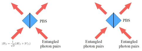 PBS based scheme 구상도. PBS 한쪽 입력에 single photon을 넣는 것과 entangled photon pairs 중 하나의 광자를 넣는 방법이 있다