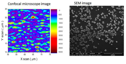 (좌) Confocal Microscope image로 측정한 SiV 나노 다이아몬드 구조와 (우) SEM 이미지로 촬영한 SiV 나노 다이아몬드 분포 사진