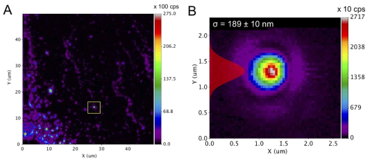 자체 제작한 공초점 현미경으로 측정한 h-BN 시료의 photoluminescence(PL) 이미지(A, B)