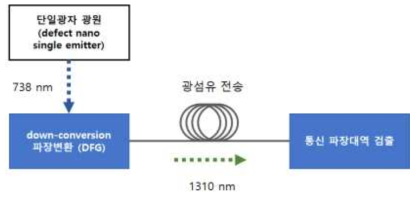 단일광자 광원기반 하향변환을 이용한 파장변환 장치의 개략도