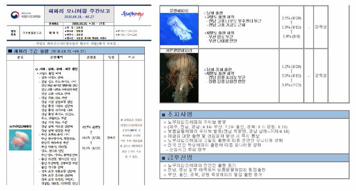 Weekly report of jellyfish (monitoring) report