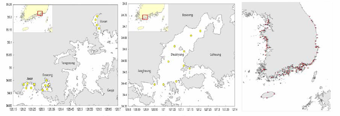 Survey points of A. coerulea