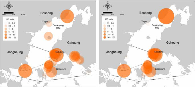 Distribution of A. coerulea polyp in Deukryang Bay. 2019 (left), 2020 (right)