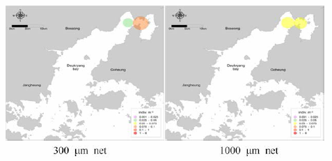 Distribution of A. coerulea adult medusa in Deukryang Bay