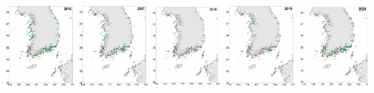 Yearly distribution of A. coerulea in Korean coastal waters, 2016〜 2020