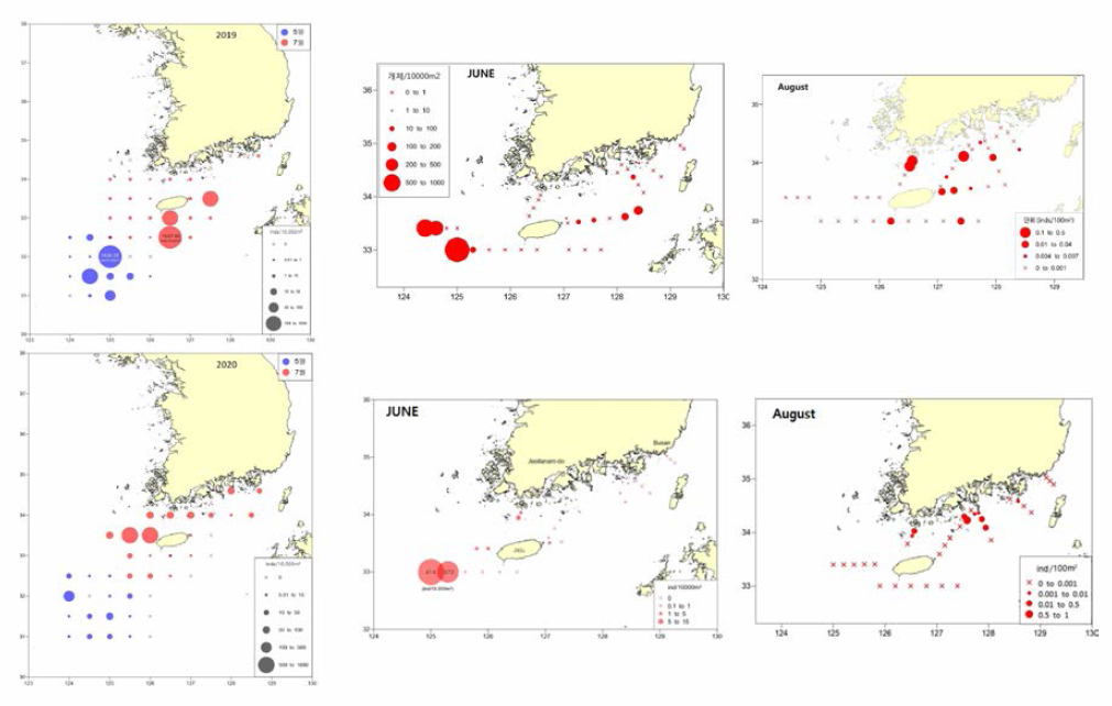 Distribution of N. nomurai during 2019〜 2020